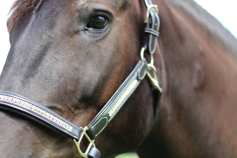 HDR Padded Jewel Halter
