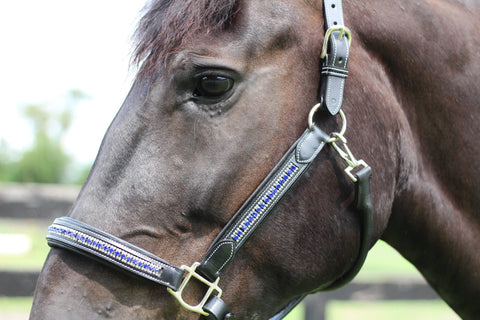 HDR Padded Jewel Halter