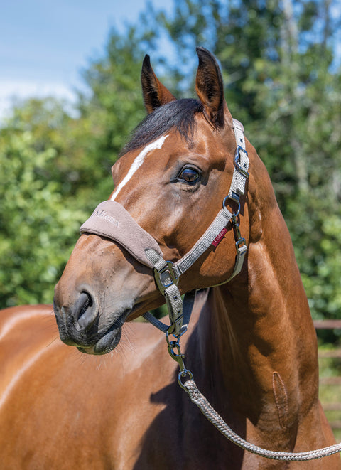 LeMieux® Vogue Halter & Rope Lead Set