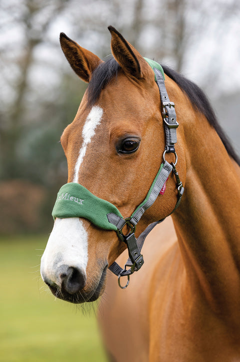 LeMieux® Vogue Halter & Rope Lead Set - Halters Other