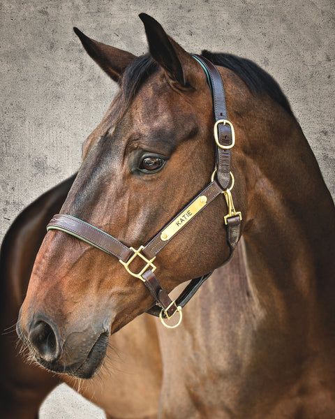 DS Classic Fancy-Stitched Leather Halter