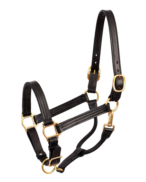 Perri’s® Premium Leather XL Show Halter