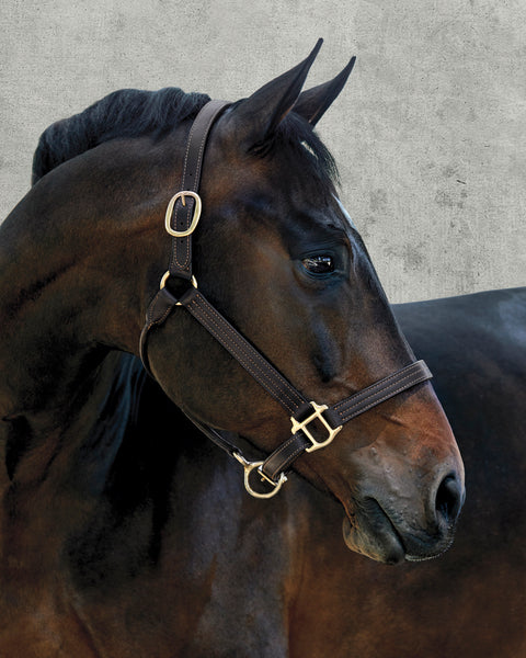 Suffolk™ Palermo Triple-Stitched Halter