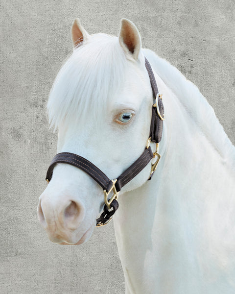 Suffolk™ Palermo Triple-Stitched Halter