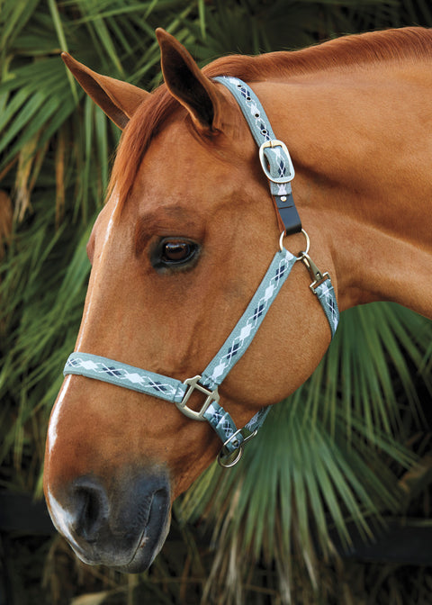 Suffolk™ Woven Argyle Breakaway Halter