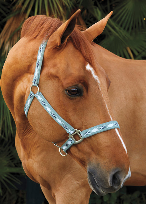 Suffolk™ Woven Argyle Breakaway Halter