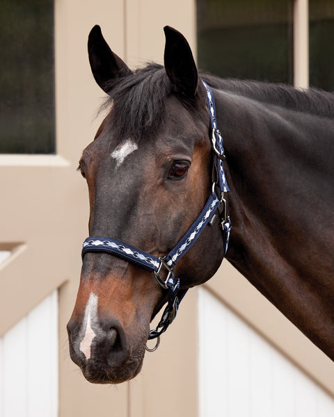 Suffolk™ Woven Argyle Breakaway Halter