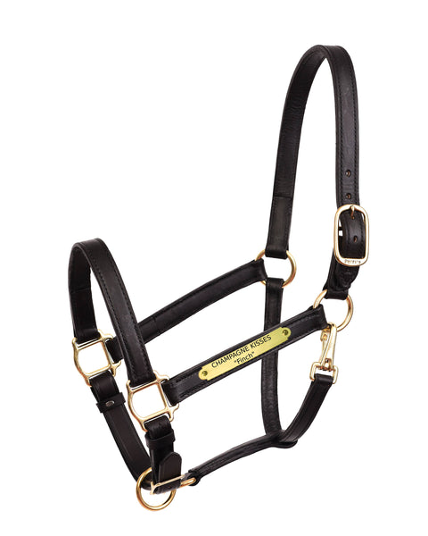 Perri’s® Draft Leather Turnout Halter