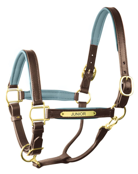 Perri’s® 1’’ Padded Leather Halter with Nameplate - Havana/Slate / Horse - Halters Leather