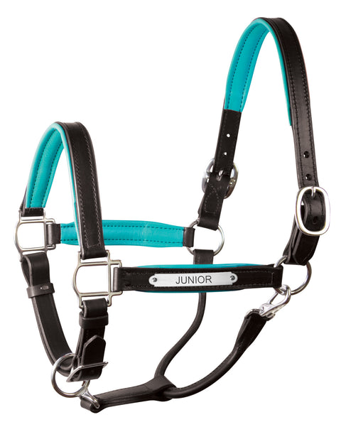 Perri’s® 1’’ Padded Leather Halter with Nameplate - Black/Turquoise / Horse - Halters Leather