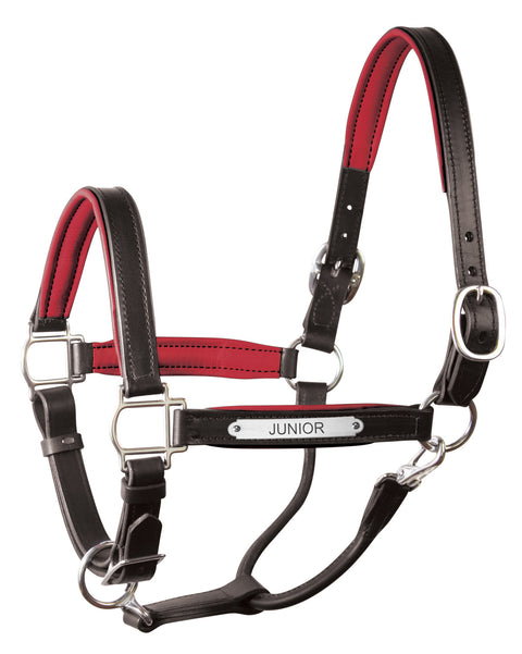 Perri’s® 1’’ Padded Leather Halter with Nameplate - Black/Red / Horse - Halters Leather