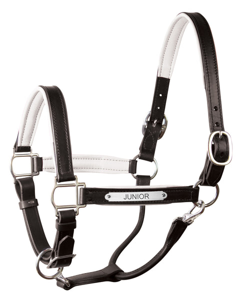 Perri’s® 1’’ Padded Leather Halter with Nameplate - Black/White / Horse - Halters Leather