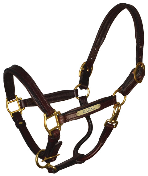 Perri’s® 1’’ Padded Leather Halter with Nameplate - Havana/Brown / Oversize - Halters Leather
