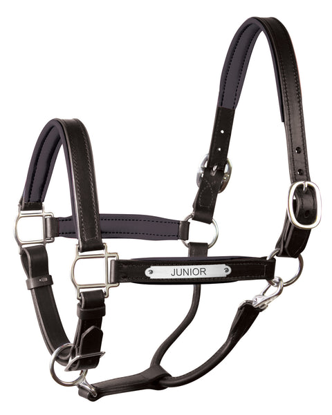 Perri’s® 1’’ Padded Leather Halter with Nameplate - Black/Black/Chrome / Oversize - Halters Leather