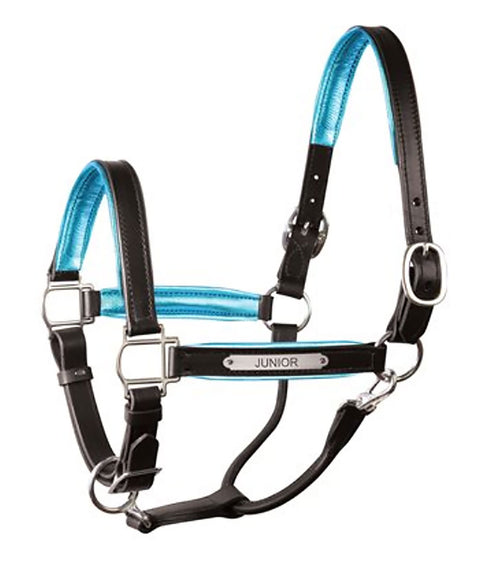 Perri’s® 1’’ Padded Leather Halter with Nameplate - Havana/Blue / Horse - Halters Leather