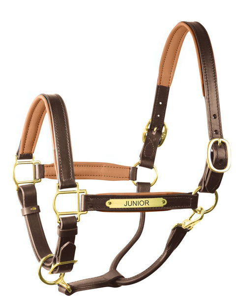 Perri’s® 1’’ Padded Leather Halter with Nameplate - Havana/Camel / Horse - Halters Leather
