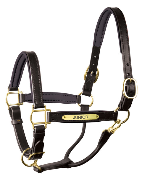 Perri’s® 1’’ Padded Leather Halter with Nameplate - Black/Black / Oversize - Halters Leather