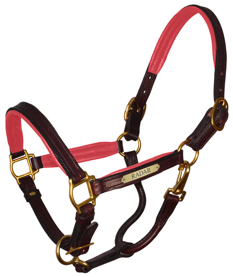 Perri’s® 1’’ Padded Leather Halter with Nameplate - Havana/Pink / Horse - Halters Leather