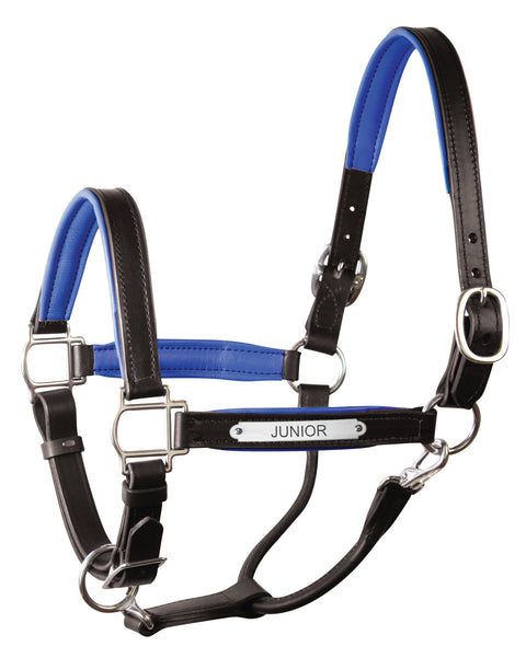 Perri’s® 1’’ Padded Leather Halter with Nameplate - Black/Blue / Horse - Halters Leather