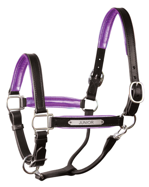 Perri’s® 1’’ Padded Leather Halter with Nameplate - Black/Purple / Horse - Halters Leather