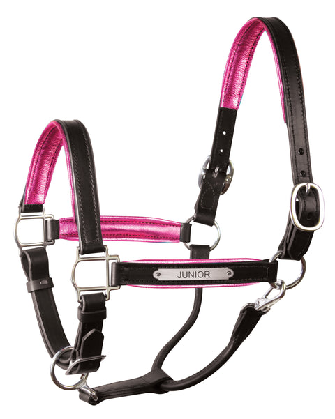 Perri’s® 1’’ Padded Leather Halter with Nameplate - Black/Pink / Horse - Halters Leather
