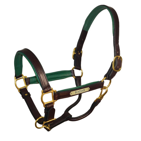Perri’s® 1’’ Padded Leather Halter with Nameplate - Havana/Hunter / Horse - Halters Leather