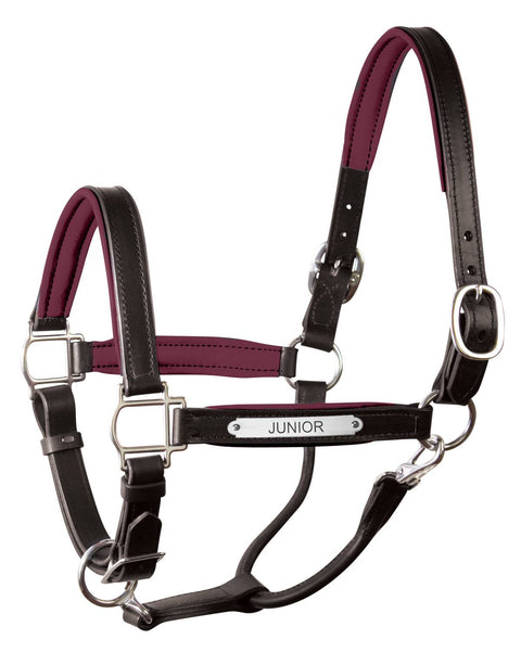 Perri’s® 1’’ Padded Leather Halter with Nameplate - Black/Burgundy / Horse - Halters Leather