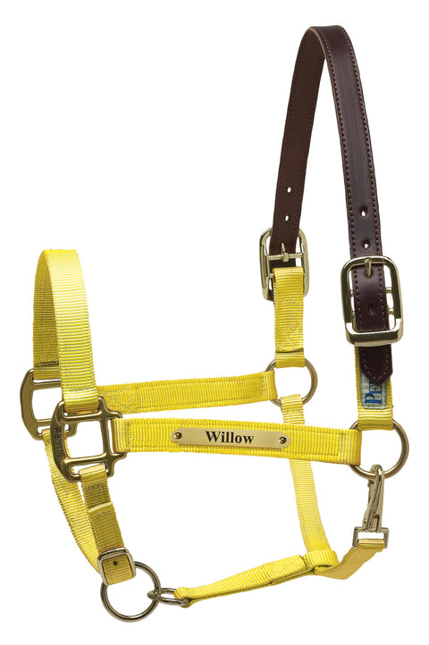 Perri’s® Premium Nylon Safety Halter with Nameplate