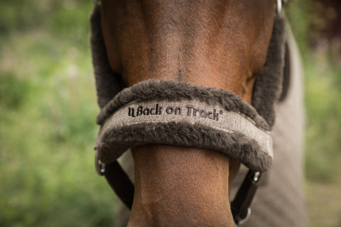 Back on Track® Haze Collection Halter