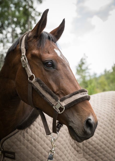 Back on Track® Haze Collection Halter