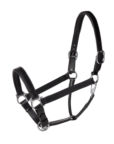 Suffolk™ Everyday Halter