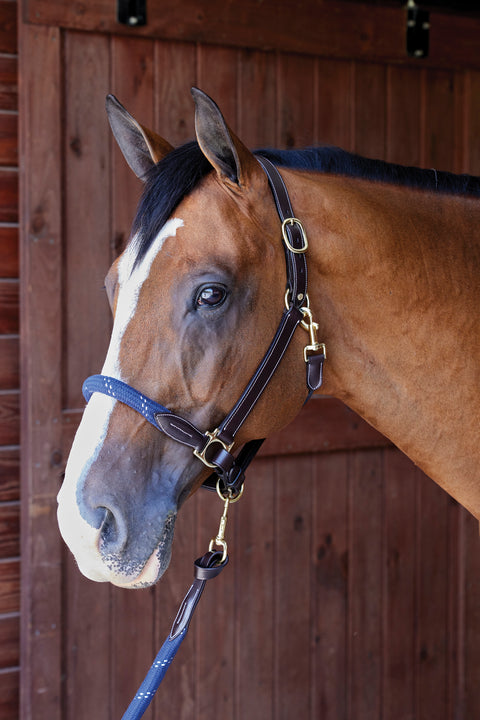 Suffolk™ Leather & Rope Halter with Lead - Halters Leather