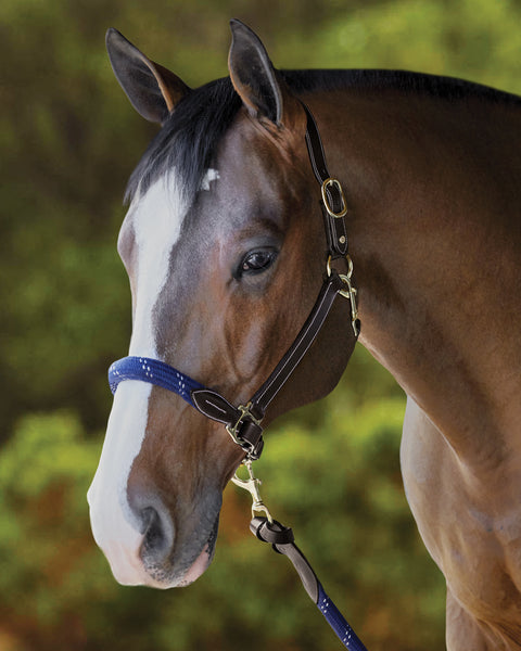 Suffolk™ Leather & Rope Halter with Lead - Halters Leather