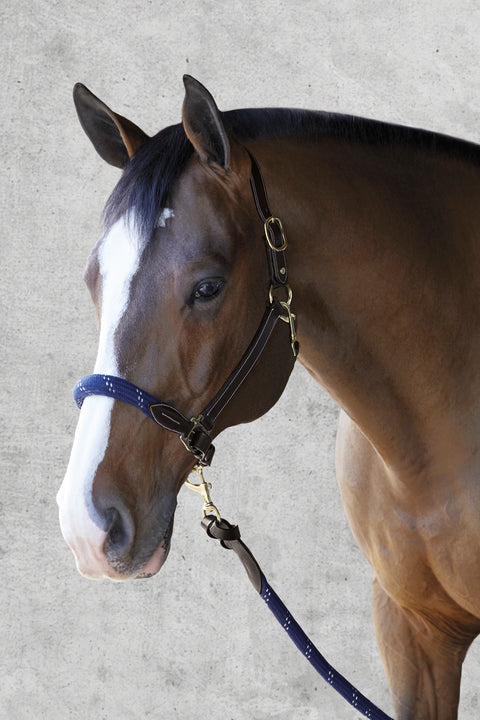 Suffolk™ Leather & Rope Halter with Lead - Halters Leather
