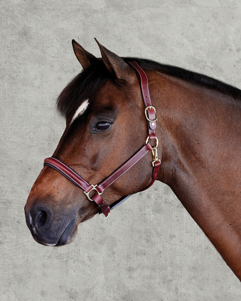 Suffolk™ Ergonomic Halter