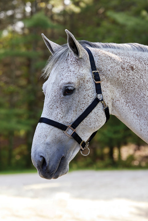 Suffolk™ Nylon Breakaway Halter