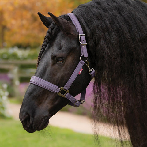 LeMieux® Essence Halter - Halters Other