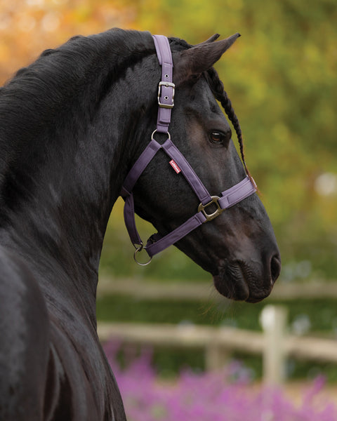 LeMieux® Essence Halter