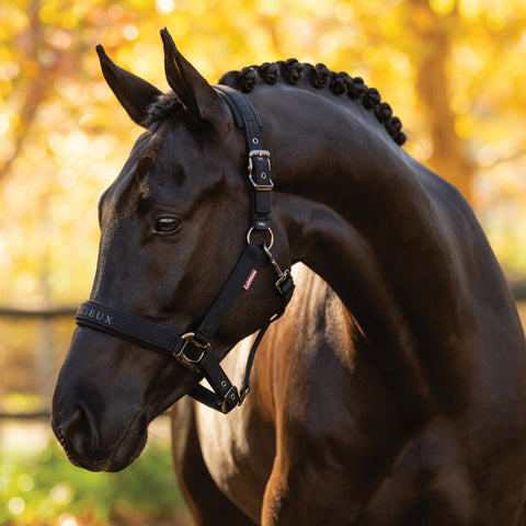 LeMieux® Essence Halter - Halters Other