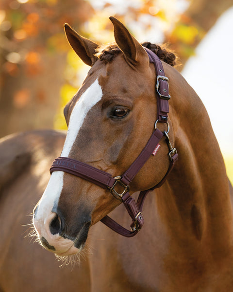 LeMieux® Essence Halter
