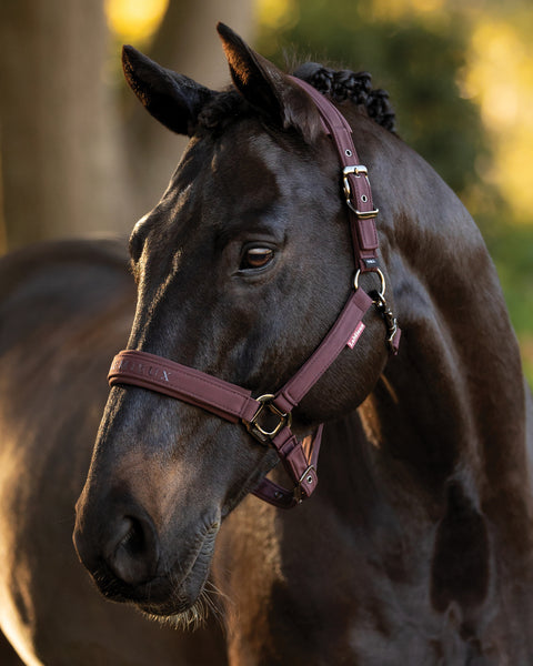 LeMieux® Essence Halter
