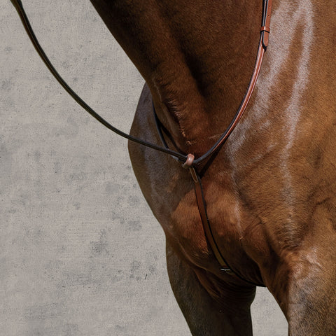 Suffolk™ Raised Standing Martingale