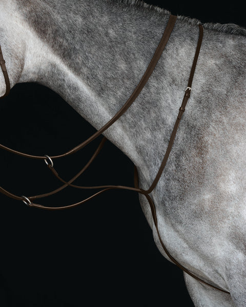 Collegiate® Running Martingale IV
