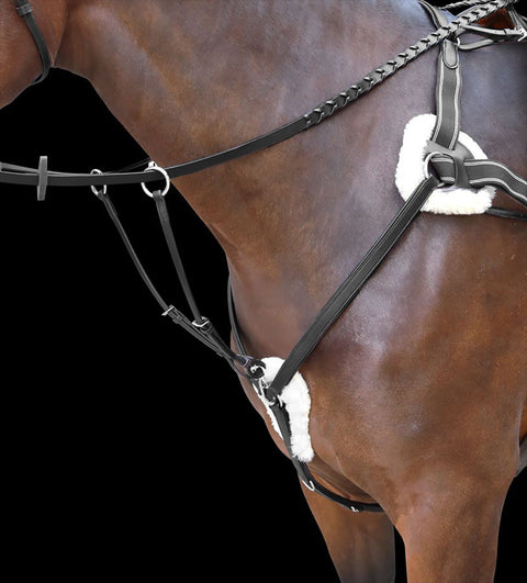 Shires Rossano Five-Point Breastplate
