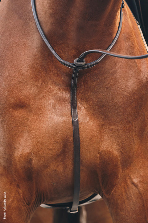 Schockemöhle Santa Clara Standing Martingale