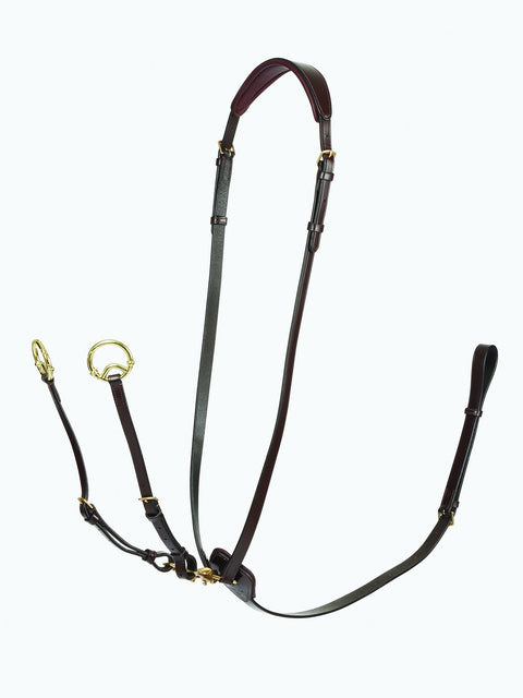 LeMieux® Kudos Running Martingale