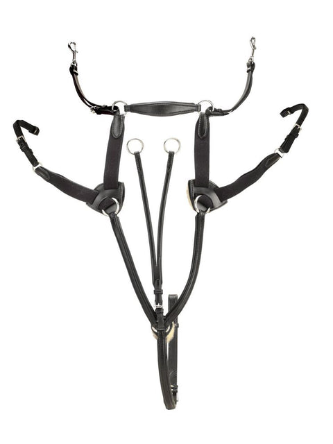 Tory Leather Company Padded 5-Point Breastplate with Running Attachment