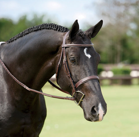 Dy'on® Wide Nose Hunter Bridle