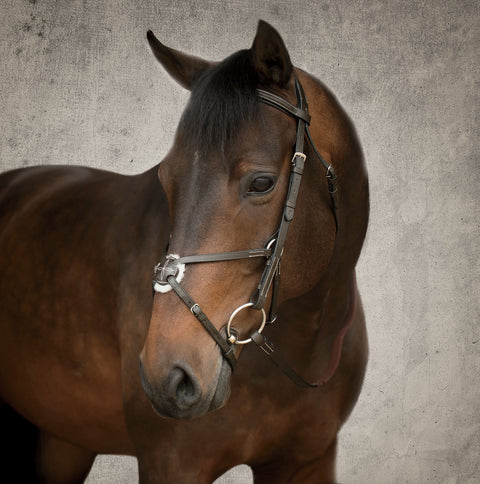 DS Figure-8 Bridle