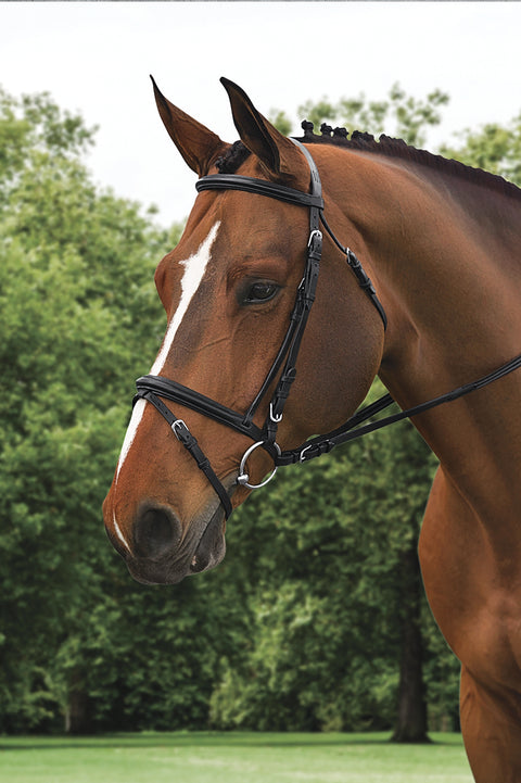 Ovation® Comfort Crown Dressage Bridle